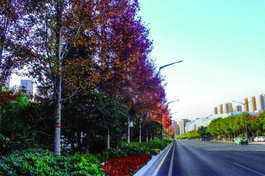 ����ag�ͼ�