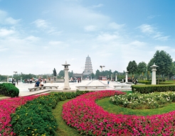 �����д������Ϲ㳡�̵�