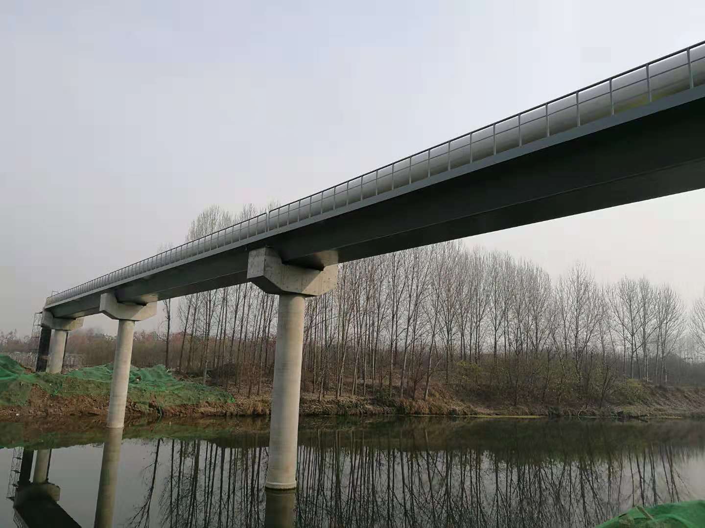 ������ag�ͼǽ������޹�˾